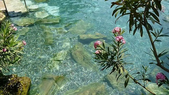 Isola di Montecristo come arrivare: fascino e mistero passando dal Giglio